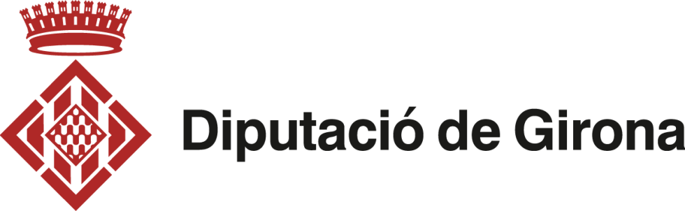 Diccionari De Sin nims Secci Filol gica