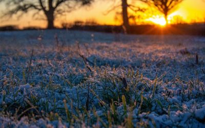 Elogi de la meua terra