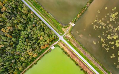 Amb la mesura amb què mesureu…